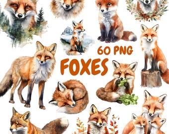 Paquete de imágenes prediseñadas de zorros en acuarela, imágenes prediseñadas de animales del bosque, ilustraciones de zorros, gráficos PNG transparentes, uso comercial