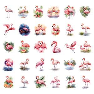 Watercolor Flamingo Clipart Bundle, Tropical Birds Clipart, Flamingo ...