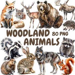 Aquarel bosdieren clipart bundel, bosdieren clipart, wildlife illustraties, transparante PNG-afbeeldingen, commercieel gebruik