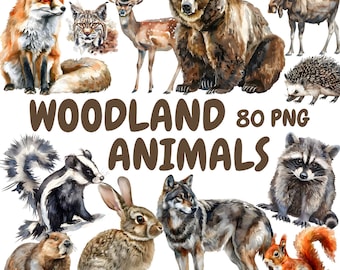 Watercolor Woodland Animals Clipart Bundle, Forest Animals Clipart, Wildlife Illustrations, Transparent PNG Graphics, Commercial Use
