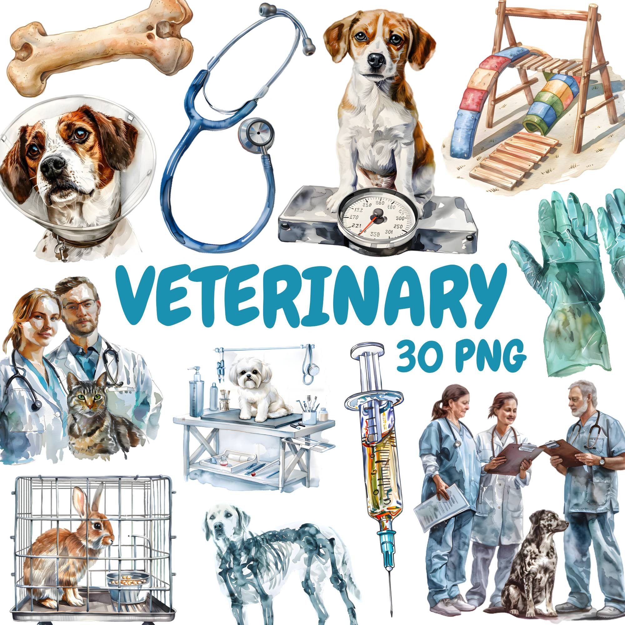 Veterinary Clinic The Vets Pets Vet Pet Clinic Discount Banner