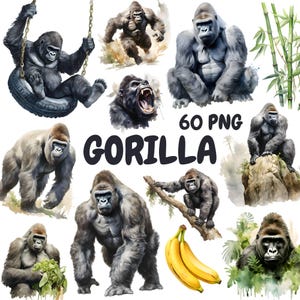 Watercolor Gorilla Clipart Bundle, Jungle Animal Clipart, Gorilla Illustrations, Transparent PNG Graphics, Commercial Use