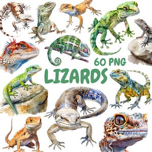 Watercolor Lizards Clipart Bundle, Chameleon Gecko Clipart, Reptile Illustrations, Transparent PNG Graphics, Commercial Use