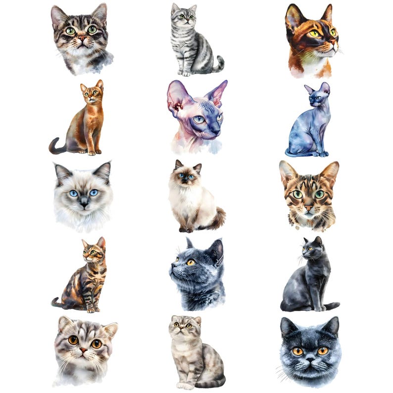 May include: A collection of 15 watercolor paintings of cats in various poses and breeds. The cats are depicted in a realistic style with detailed features and soft colors.
