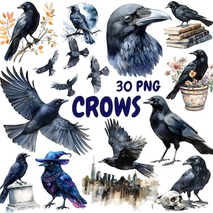 Aquarell Krähen Clipart Bundle, schwarzer Vogel Clipart, Raben Illustrationen, transparente PNG Grafiken, kommerzielle Nutzung
