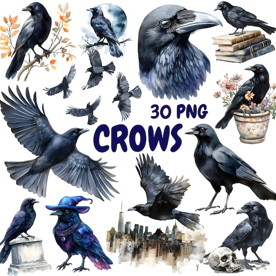 Watercolor Crows Clipart Bundle, Black Bird Clipart, Raven Illustrations, Transparent PNG Graphics, Commercial Use
