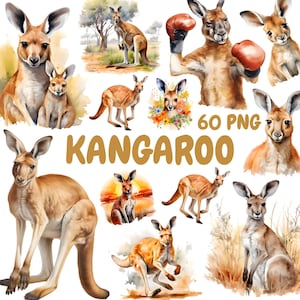 Paquete de imágenes prediseñadas de canguro en acuarela, imágenes prediseñadas de animales australianos, ilustraciones de canguros, gráficos PNG transparentes, uso comercial