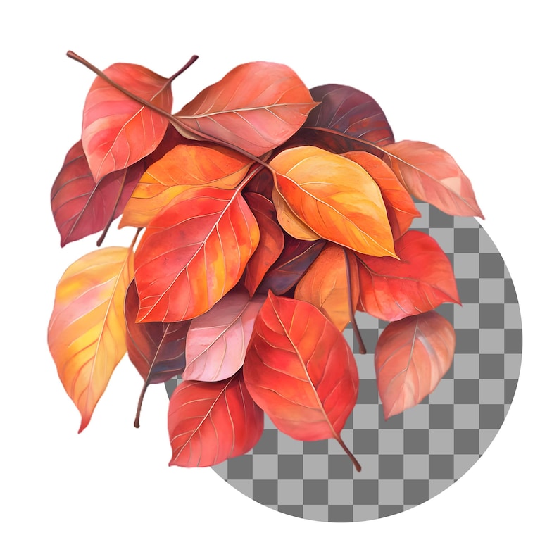 May include: A cluster of autumn leaves in shades of red, orange, and yellow. The leaves are arranged in a circular shape, with the tips of the leaves pointing outwards.