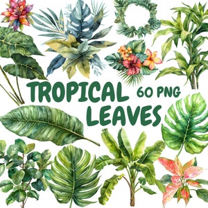Watercolor Tropical Leaves Clipart Bundle, Jungle Leaves Clipart, Leaf Illustrations, Transparent PNG Graphics, Commercial Use
