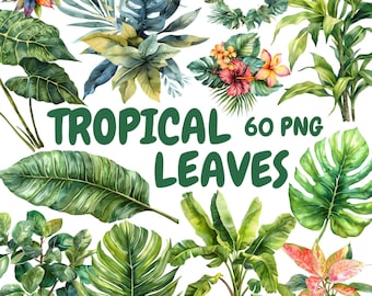 Watercolor Tropical Leaves Clipart Bundle, Jungle Leaves Clipart, Leaf Illustrations, Transparent PNG Graphics, Commercial Use