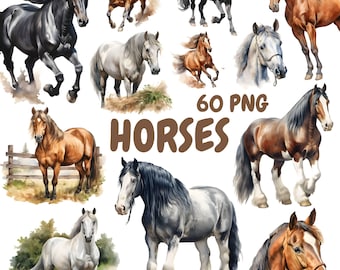 Watercolor Horses Clipart Bundle, Farm Horse Clipart, Horse Illustrations, Transparent PNG Graphics, Commercial Use
