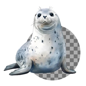 Watercolor Arctic Animals Clipart Bundle, Polar Bear Clipart, Seal ...