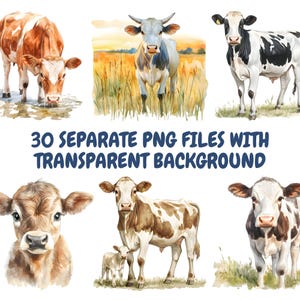 Watercolor Cows Clipart Bundle, Farm Animals Clipart, Cow Illustrations ...