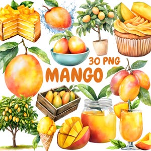 Aquarell Mango Clipart Bundle, Mango Frucht Clipart, Zitrus Illustrationen, transparente PNG Grafiken, kommerzielle Nutzung