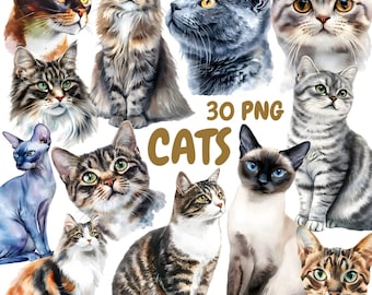 Watercolor Cats Clipart Bundle, Cute Kitten Clipart, Cat Illustrations, Transparent PNG Graphics, Commercial Use