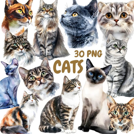 Watercolor Cats Clipart Bundle, Cute Kitten Clipart, Cat Illustrations, Transparent PNG Graphics, Commercial Use