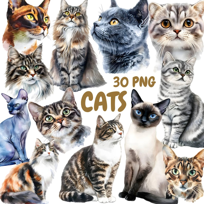 May include: A collection of 30 digital illustrations of cats in various poses and breeds. The cats are depicted in a watercolor style with realistic details. The images are perfect for use in digital scrapbooking, card making, and other creative projects.