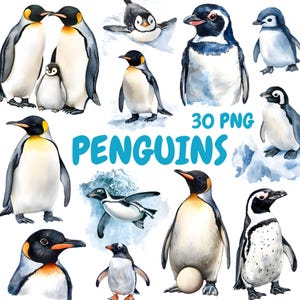 May include: Watercolor illustrations of various penguins in different poses. The image includes penguins of different sizes and species, with a variety of colors, including black, white, yellow, and blue. Text in the image reads "30 PNG PENGUINS."