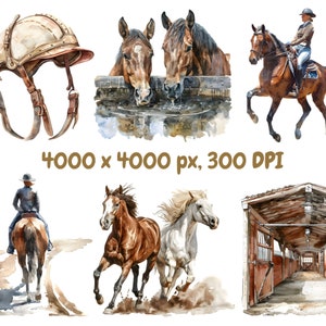 Op de afbeelding: Waterverfillustraties met paardenthema's. Afbeeldingen zijn onder meer een rijhelm, paarden die water drinken, een ruiter op een paard, twee rennende paarden en een stal. De tekst luidt "4000 x 4000 px, 300 DPI."