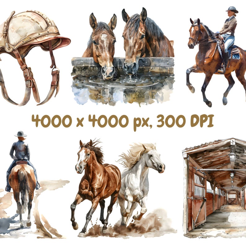 Op de afbeelding: Waterverfillustraties met paardenthema's. Afbeeldingen zijn onder meer een rijhelm, paarden die water drinken, een ruiter op een paard, twee rennende paarden en een stal. De tekst luidt "4000 x 4000 px, 300 DPI."