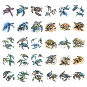 May include: Watercolor painting of 25 sea turtles in various poses. The turtles are painted in shades of green, blue, and brown. Some turtles are swimming, while others are resting on the ocean floor.