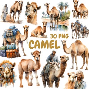 Pacchetto di clipart di cammelli ad acquerello, clipart di animali del deserto, illustrazioni di cammelli, grafica PNG trasparente, uso commerciale