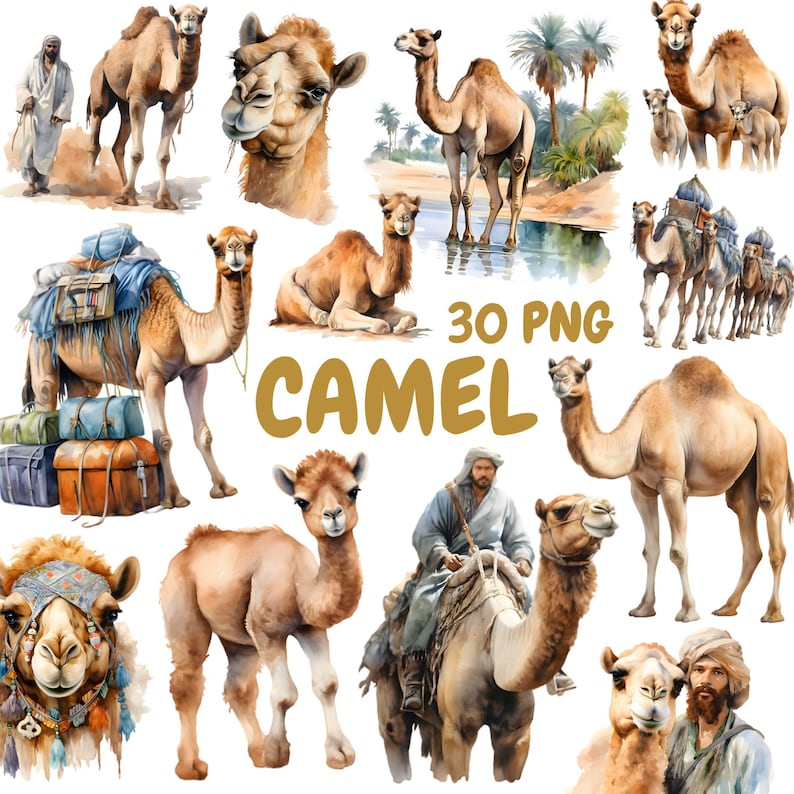Watercolor Camel Clipart Bundle, Desert Animal Clipart, Camel ...
