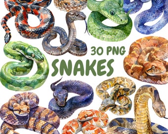 Watercolor Snakes Clipart Bundle, Black Mamba Clipart, Cobra Illustrations, Transparent PNG Graphics, Commercial Use