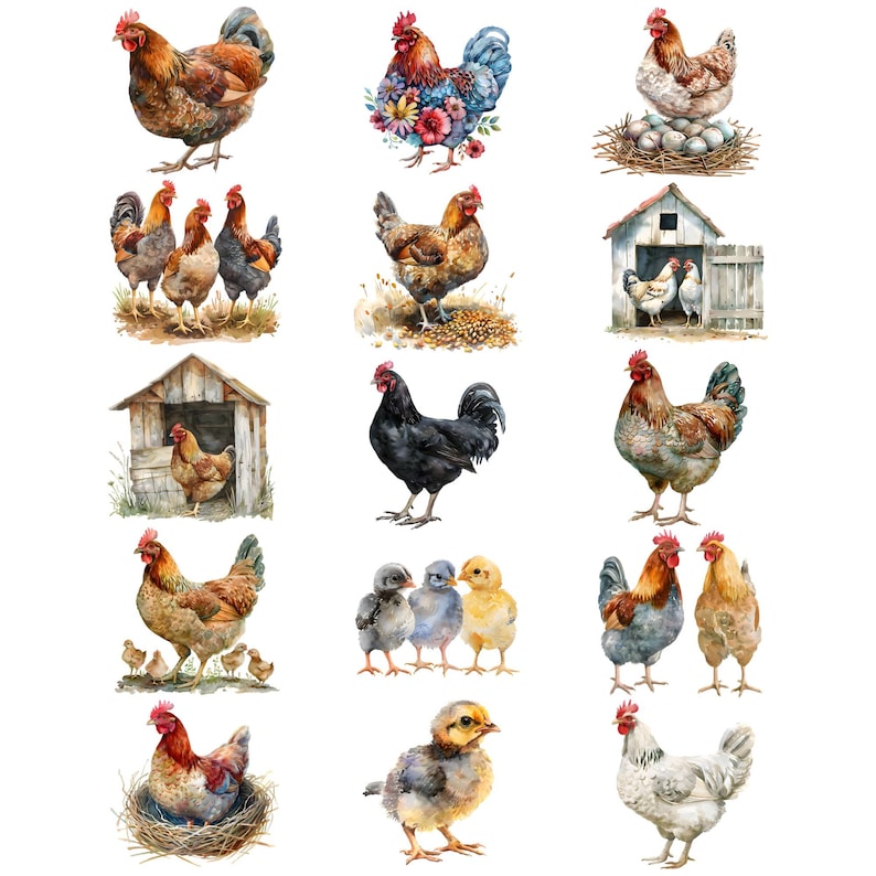 Op de afbeelding: Waterverf schilderij van verschillende kippen en hanen in verschillende poses. Sommigen zijn in een kippenhok, sommigen in een nest en sommigen staan ​​op zichzelf. De kippen zijn bruin, zwart, wit en grijs. De hanen zijn rood, zwart en wit.