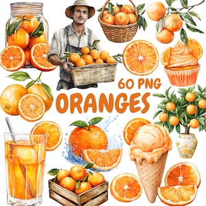 Watercolor Oranges Clipart Bundle, Orange Citrus Clipart, Fruit Illustrations, Transparent PNG Graphics, Commercial Use