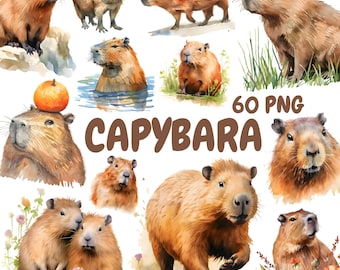 Watercolor Capybara Clipart Bundle, Cute Capybara Clipart, Capybara Illustrations, Transparent PNG Graphics, Commercial Use