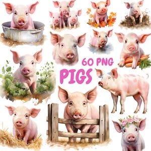 Watercolor Pigs Clipart Bundle, Farm Animals Clipart, Pig Illustrations, Transparent PNG Graphics, Commercial Use