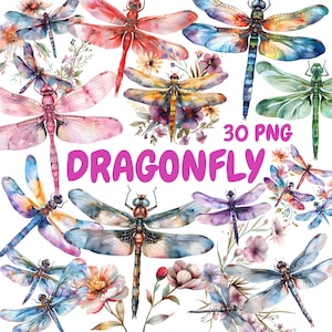 Watercolor Dragonfly Clipart Bundle, Floral Dragonflies Clipart, Insect Illustrations, Transparent PNG Graphics, Commercial Use