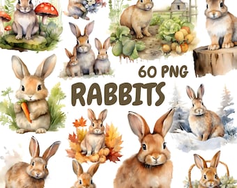 Aquarel konijnen clipartbundel, schattig konijntje clipart, konijnillustraties, transparante png-afbeeldingen, commercieel gebruik