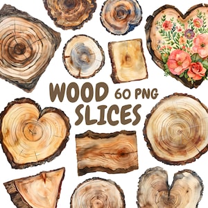 Watercolor Wood Slices Clipart Bundle, Tree Slices Clipart, Forest Illustrations, Transparent PNG Graphics, Commercial Use
