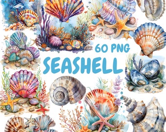 Watercolor Seashell Clipart Bundle, Beach Shell Clipart, Seashells Illustrations, Transparent PNG Graphics, Commercial Use