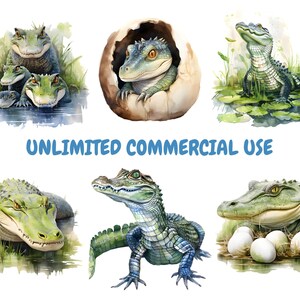 May include: Watercolour illustrations of alligators and crocodiles in various poses. One image shows a baby alligator hatching from an egg. The text "UNLIMITED COMMERCIAL USE" is displayed in blue font.