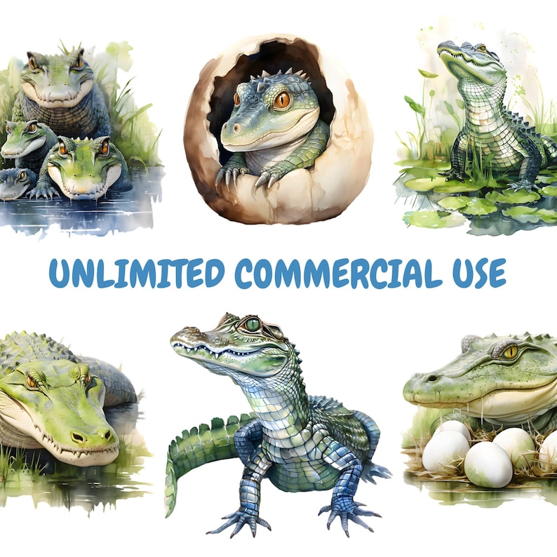 May include: Watercolour illustrations of alligators and crocodiles in various poses. One image shows a baby alligator hatching from an egg. The text "UNLIMITED COMMERCIAL USE" is displayed in blue font.