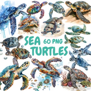 Aquarel zeeschildpadden clipartbundel, oceaandieren clipart, schildpadillustraties, transparante png-afbeeldingen, commercieel gebruik