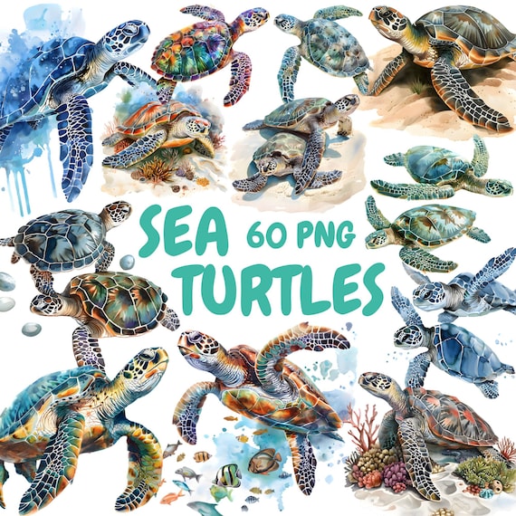 Watercolor Sea Turtles Clipart Bundle, Ocean Animals Clipart, Turtle Illustrations, Transparent PNG Graphics, Commercial Use