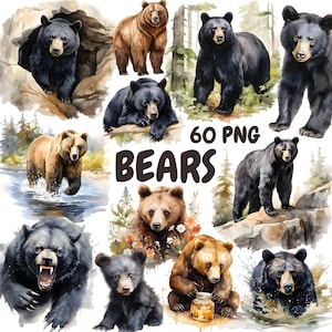 Bundle de cliparts ours aquarelle, clipart ours brun, illustrations de la faune, graphiques PNG transparents, usage Commercial