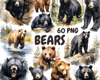 Paquete de imágenes prediseñadas de osos en acuarela, imágenes prediseñadas de oso pardo, ilustraciones de vida silvestre, gráficos PNG transparentes, uso comercial