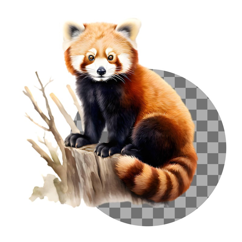 May include: A digital illustration of a red panda sitting on a tree stump. The red panda has reddish-brown fur on its back and tail, with black fur on its belly and legs. It has a white face with dark eyes and ears.