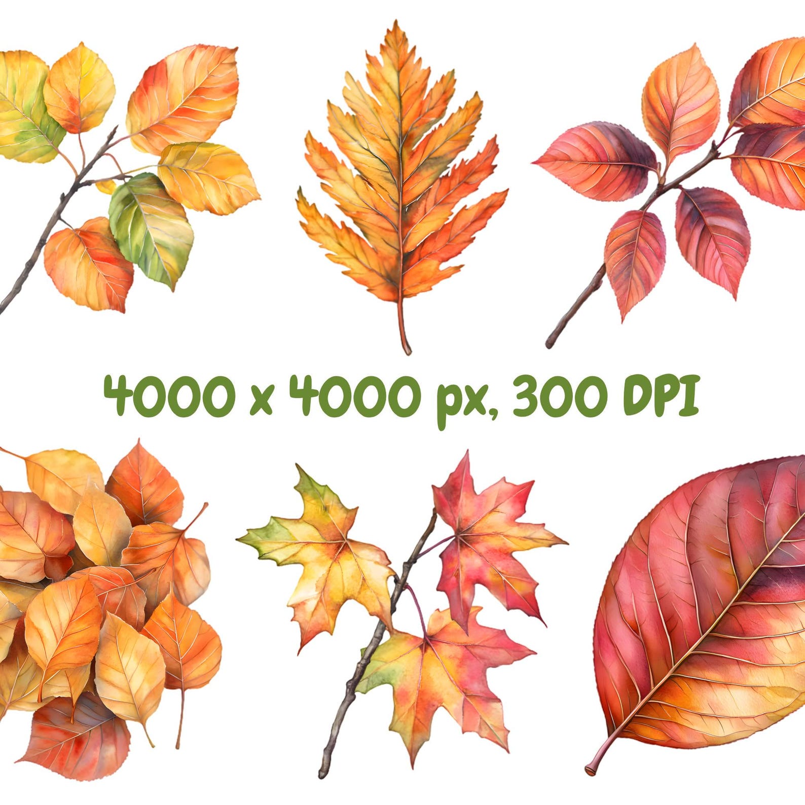Watercolor Autumn Leaves Clipart Bundle, Fall Leaves Clipart, Leaf ...