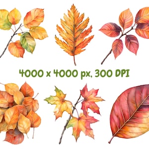 May include: A collection of watercolor painted autumn leaves in various shades of red, orange, yellow, and brown. The leaves are isolated on a white background.