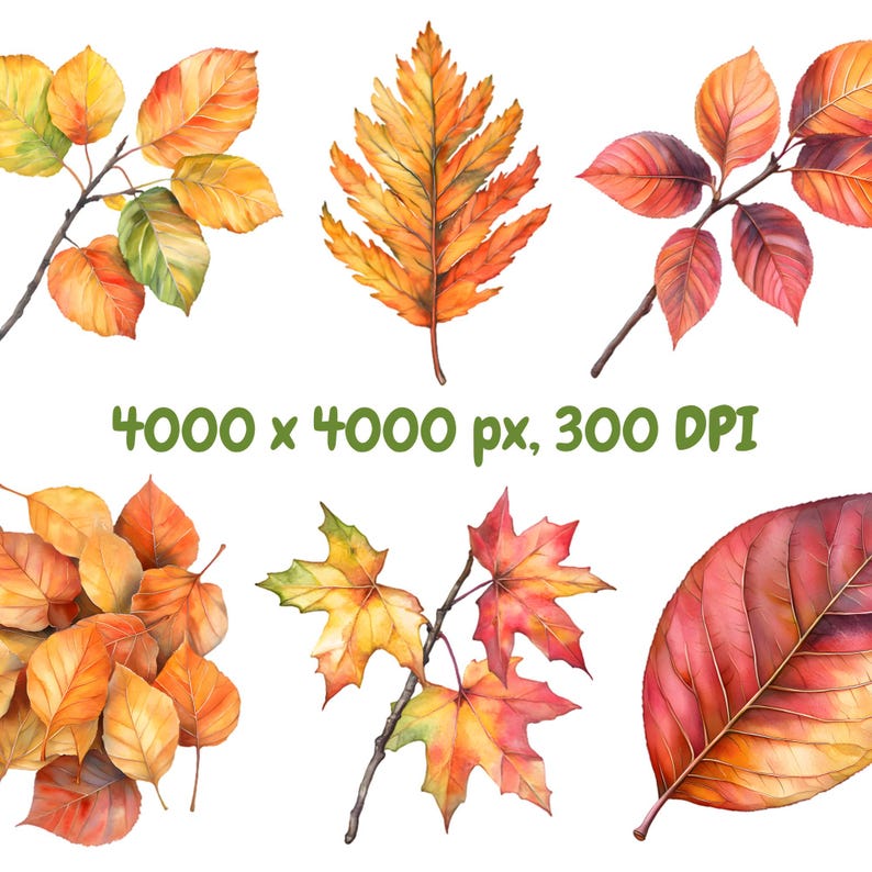May include: A collection of watercolor painted autumn leaves in various shades of red, orange, yellow, and brown. The leaves are isolated on a white background.