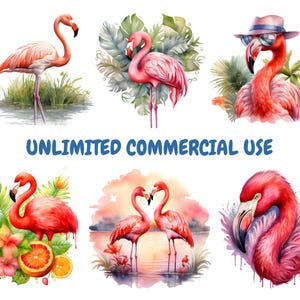 Watercolor Flamingo Clipart Bundle, Tropical Birds Clipart, Flamingo ...