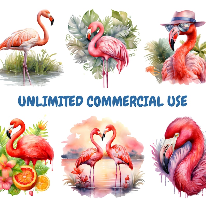 K&ouml;nnte beinhalten: Eine Sammlung von Aquarellillustrationen mit Flamingos in verschiedenen Posen. Die Bilder zeigen die V&ouml;gel in verschiedenen Umgebungen, darunter in der N&auml;he von Wasser, umgeben von tropischem Laub und mit Accessoires. Der Text "UNLIMITED COMMERCIAL USE" ist blau dargestellt.