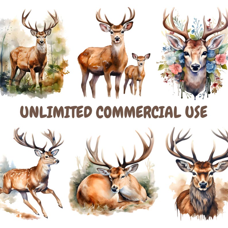 Watercolor Deer Clipart Bundle, Woodland Animals Clipart, Fawn ...