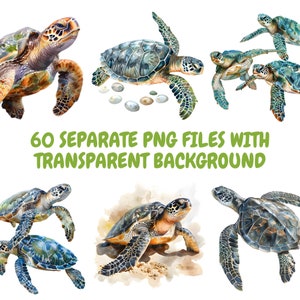 May include: A set of six watercolor illustrations of sea turtles. The turtles are depicted in various poses, including swimming, resting, and walking on the beach. The illustrations are painted in shades of green, brown, and blue, with a white background.